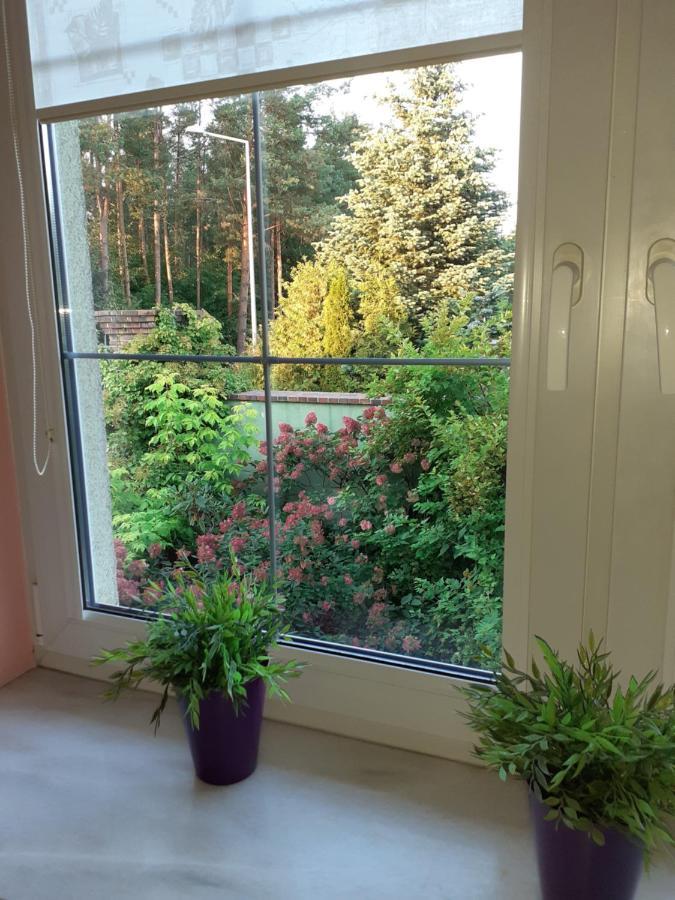 Kaszubiana Direkt In Der Natur Apartment Sulmin