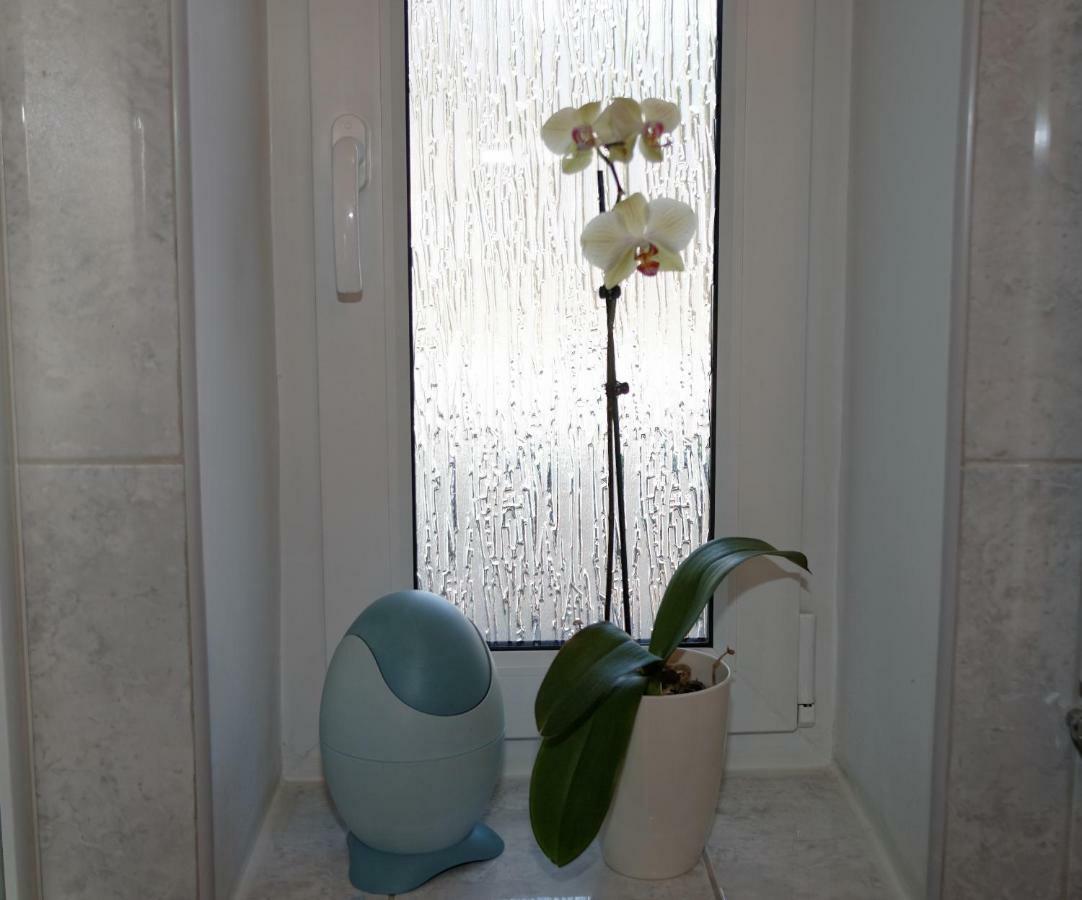 Kaszubiana Direkt In Der Natur Apartment *