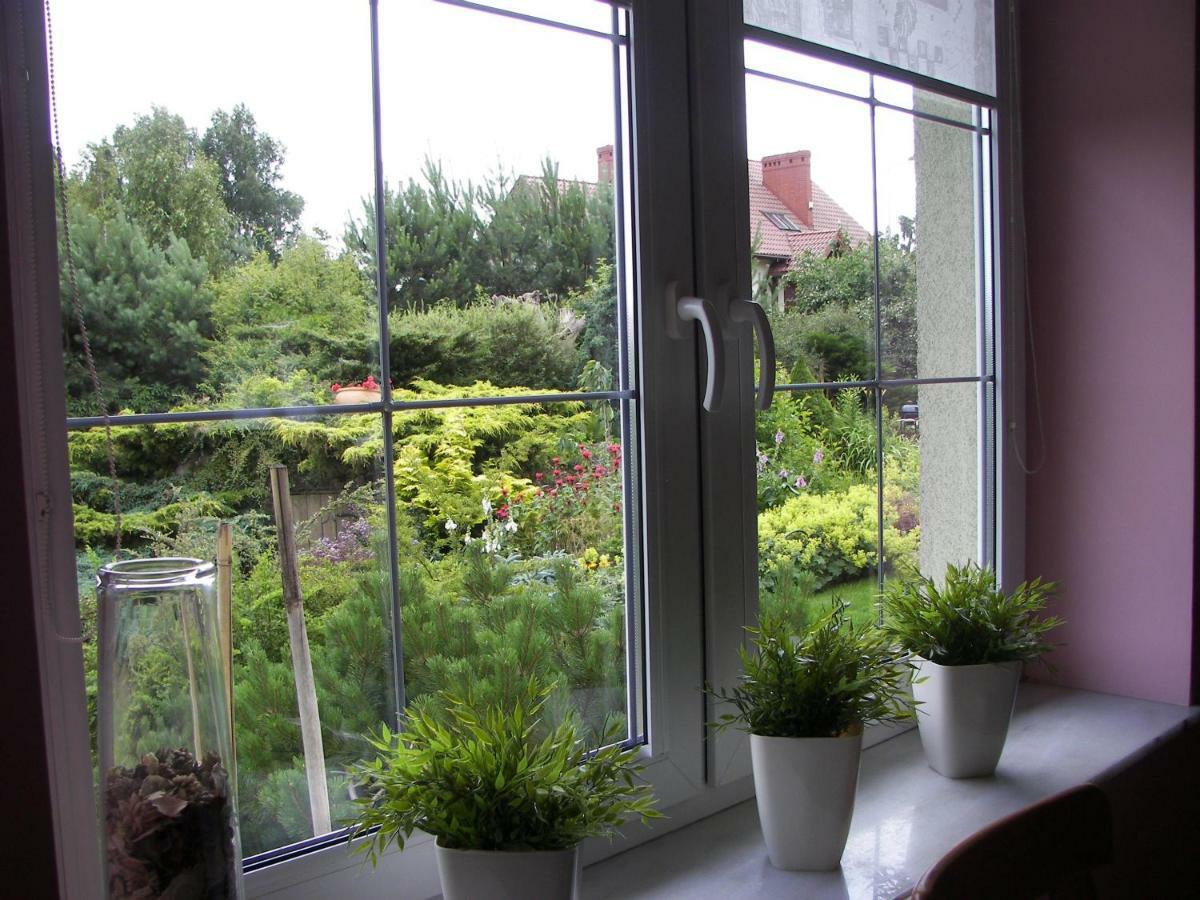Apartment Kaszubiana Direkt In Der Natur