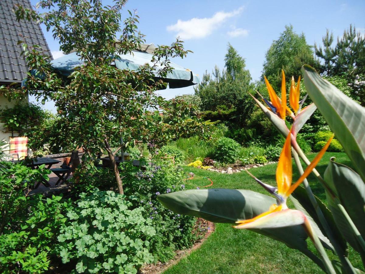 Apartment Kaszubiana Direkt In Der Natur Sulmin