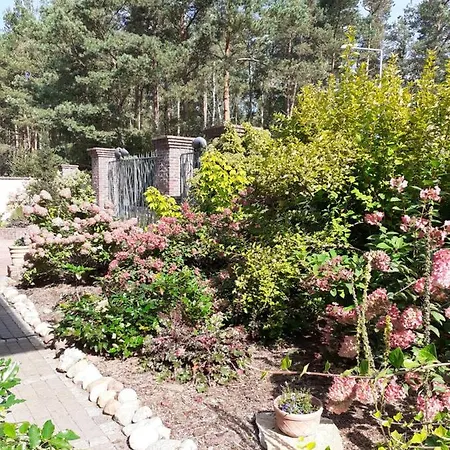 Kaszubiana Direkt In Der Natur Apartment Sulmin Exterior photo