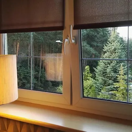 Kaszubiana Direkt In Der Natur Apartment Sulmin Exterior photo