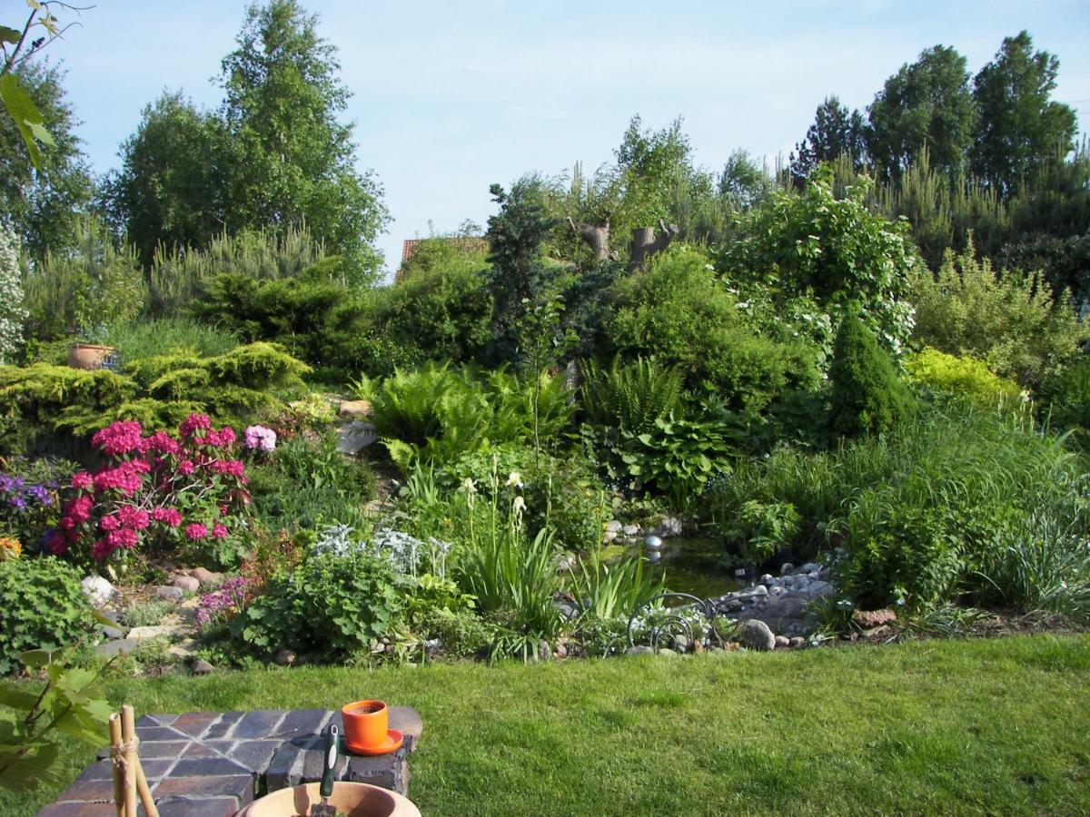 Kaszubiana Direkt In Der Natur Apartmán